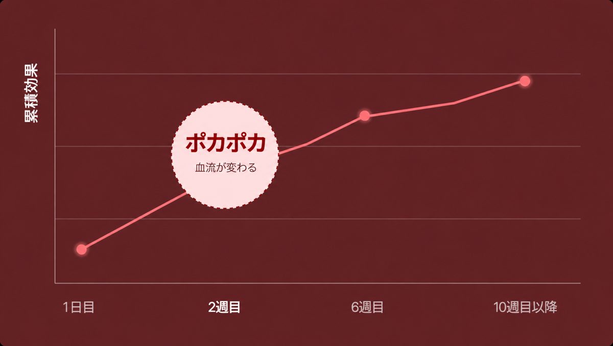 2週目