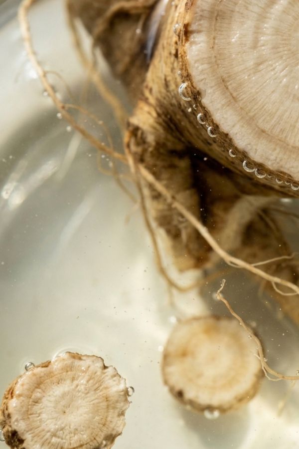 高麗人参